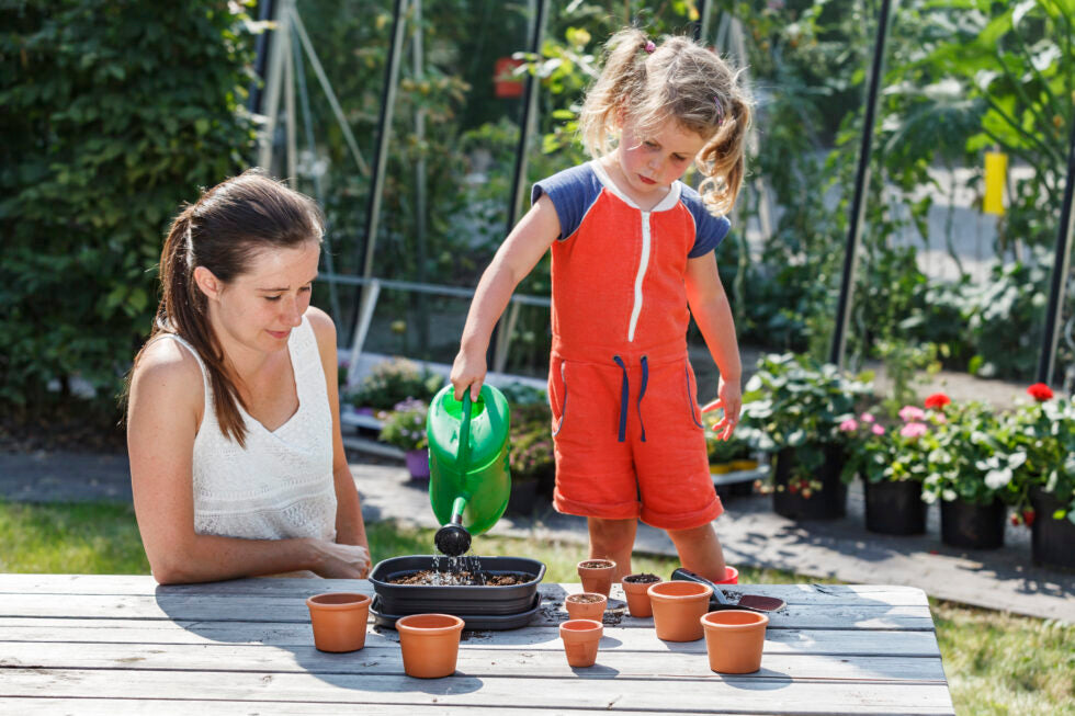 Grundläggande tips för odling i växthus