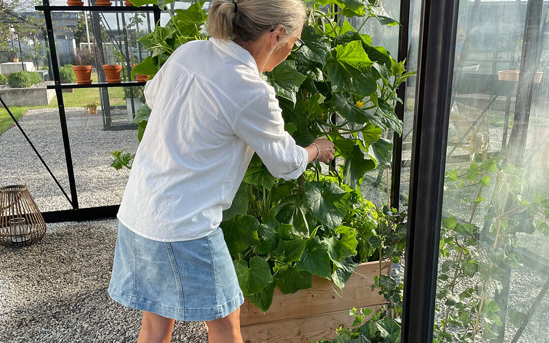 Möt Anette – Nybörjare att odla i växthus