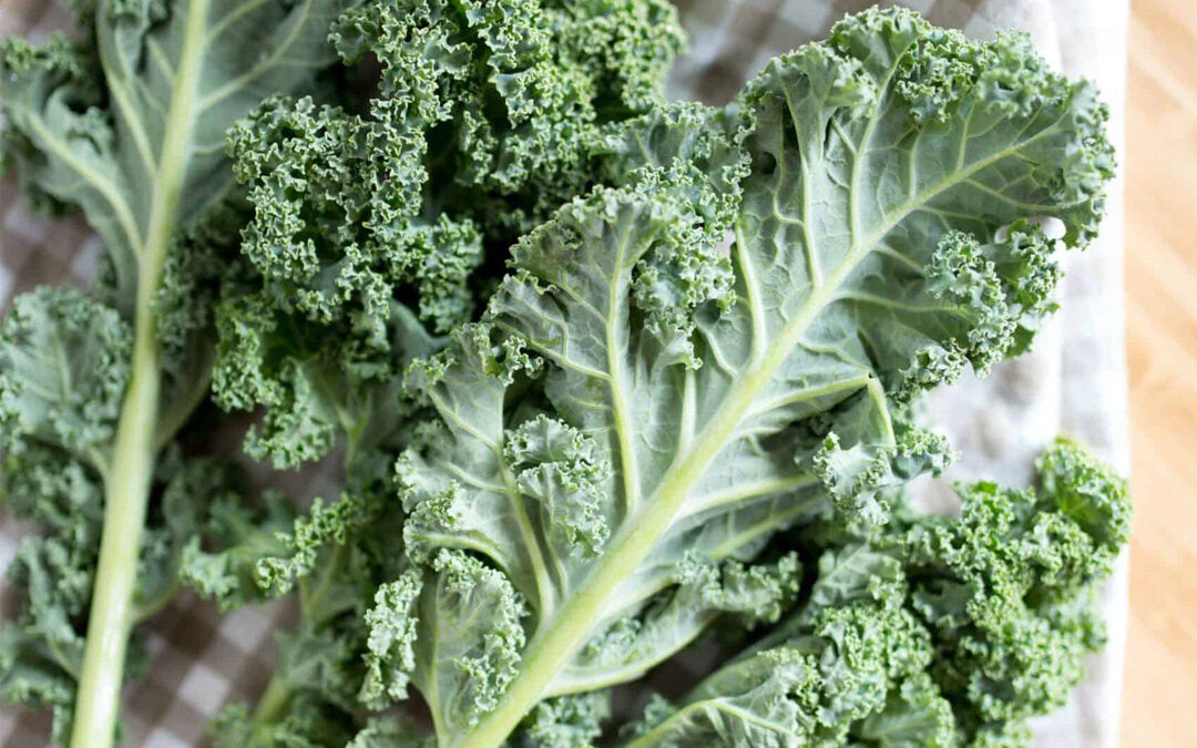 Kan man odla på vintern?