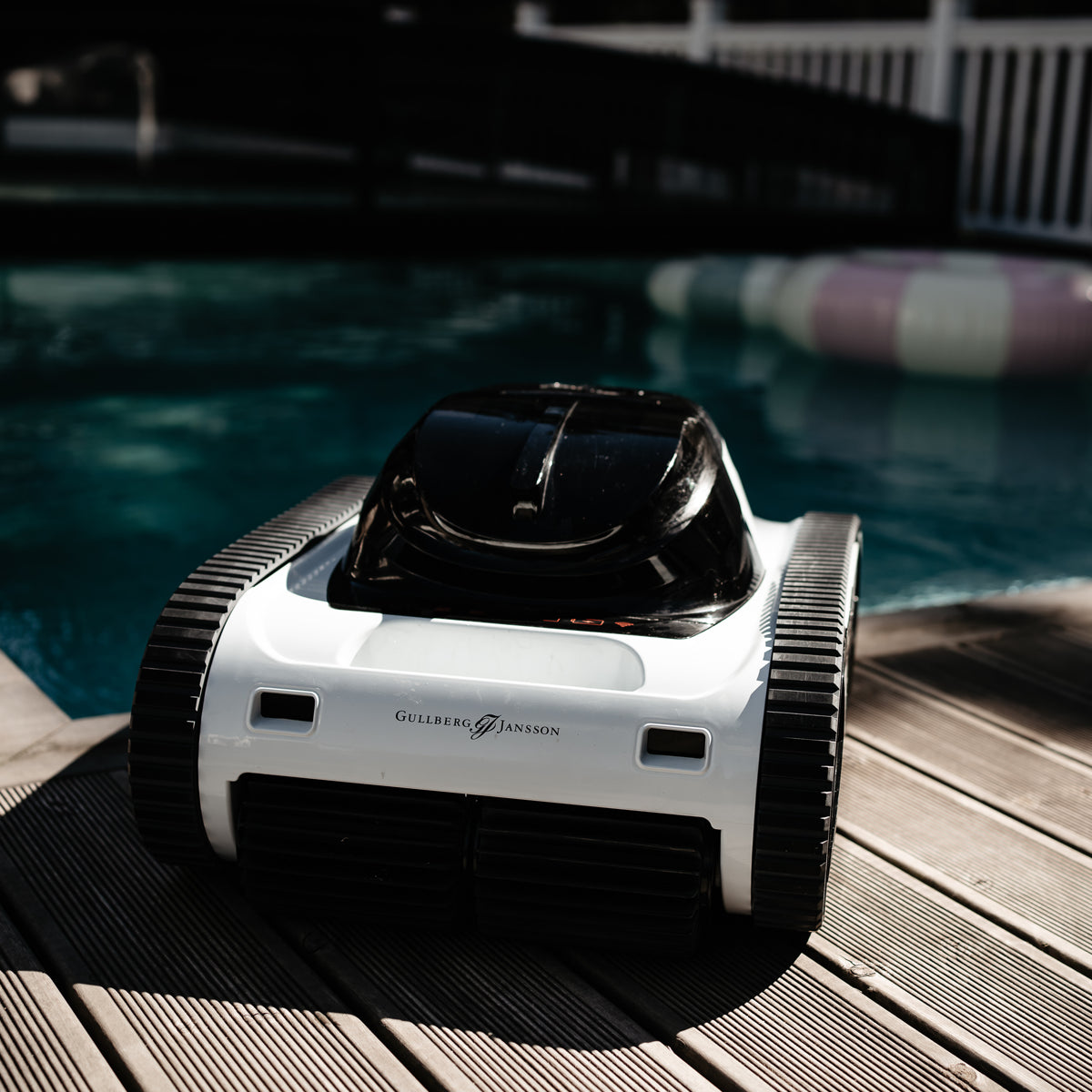 Lautus 6