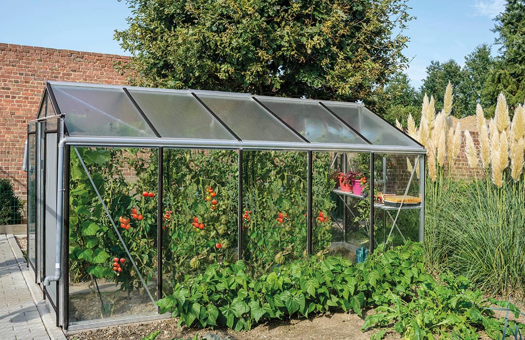 Växthus R205 – 8,6 kvm
