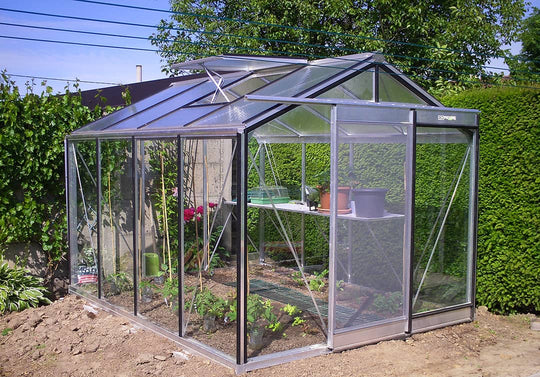 Växthus R304 - 9,1 m2