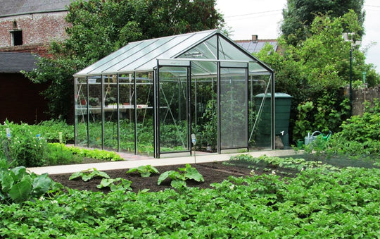 Växthus R305 -11,3 m2