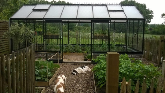 Växthus R308 - 18,1 m2