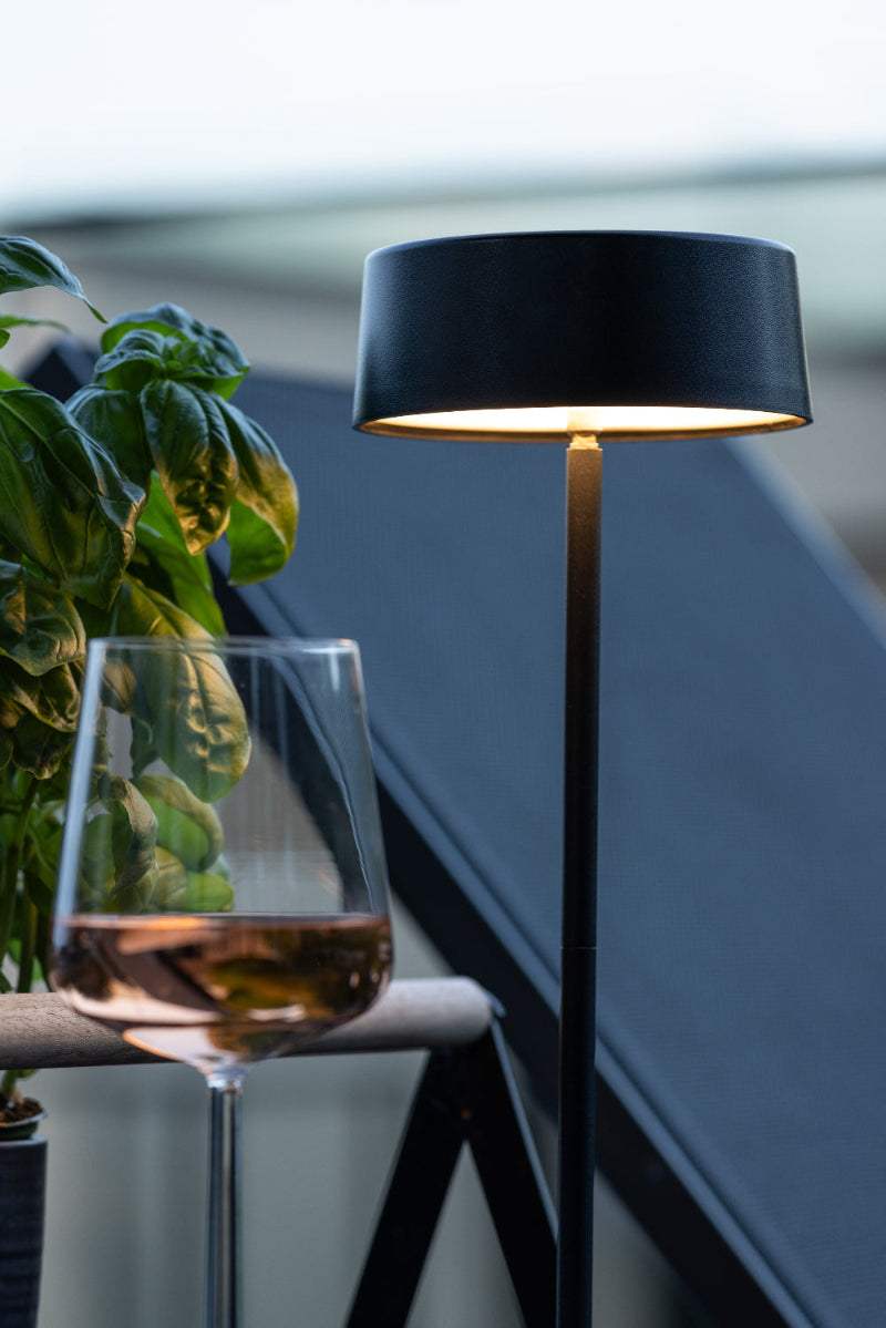 Tern taklampa close up