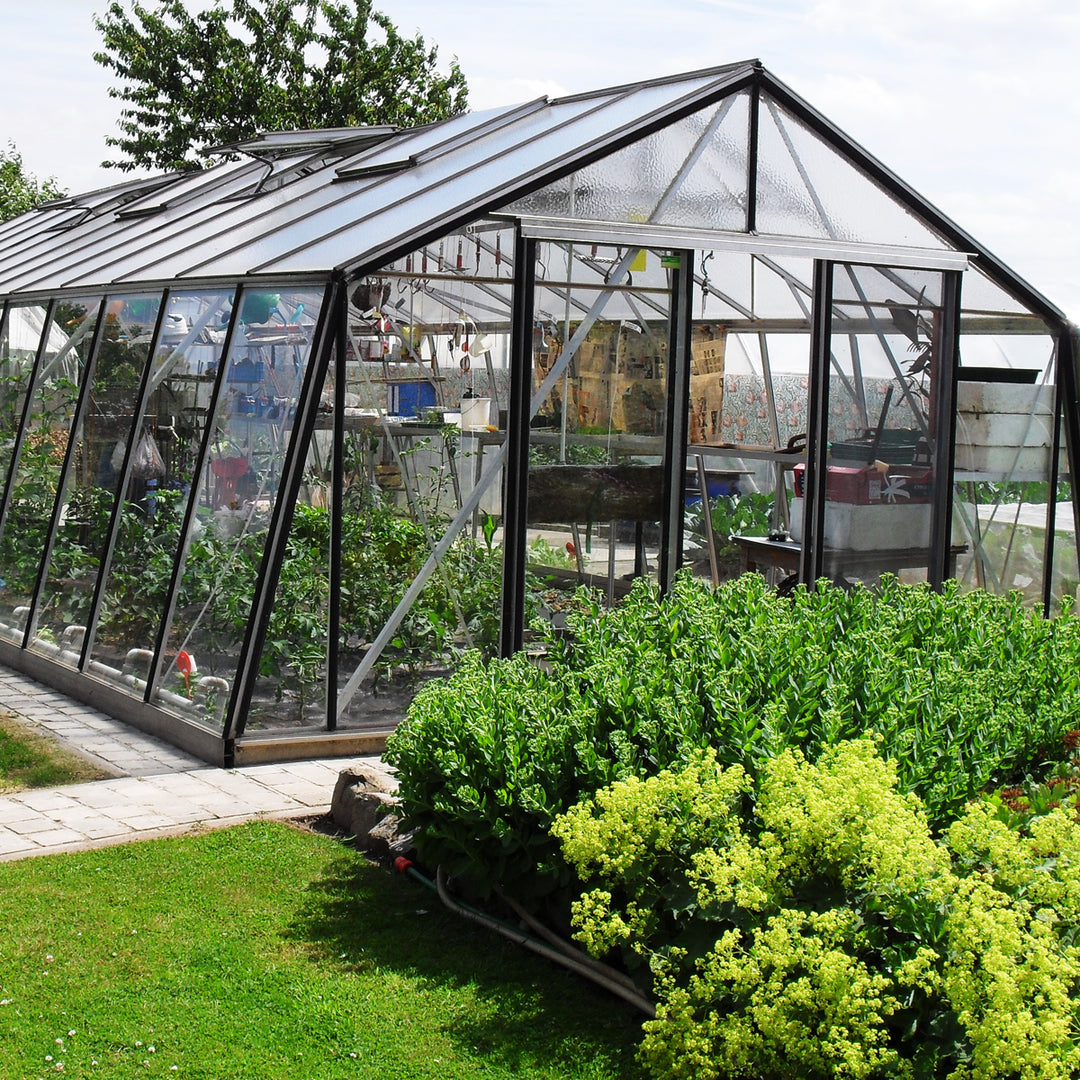 Vaxthusbolaget_vaxthus_S210 fyllt med växter