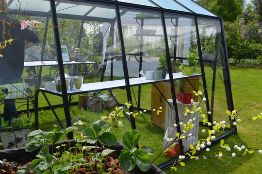 Växthus S208, 22,5 kvm - Aluline